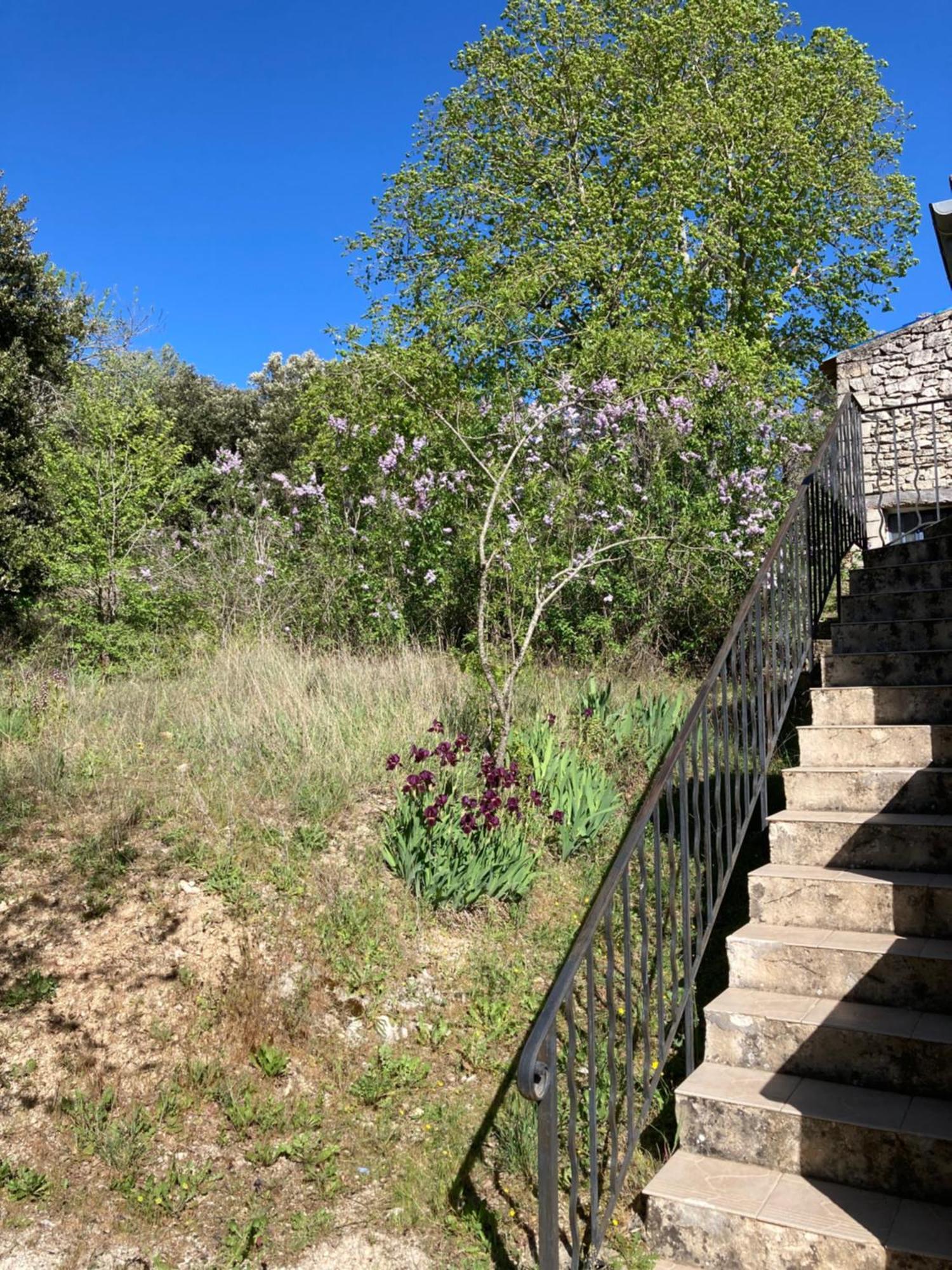 Maison Au Colorado Provencal Villa Rustrel Exterior photo