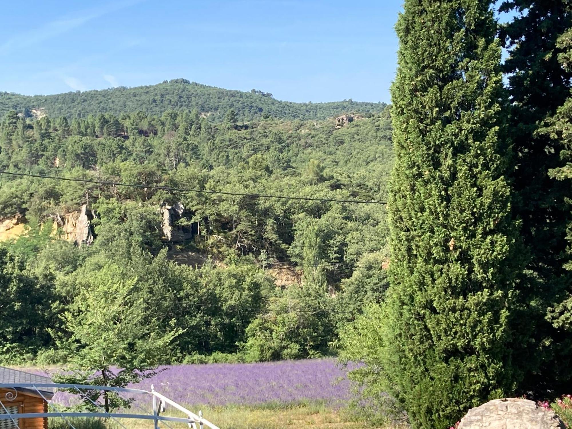 Maison Au Colorado Provencal Villa Rustrel Exterior photo