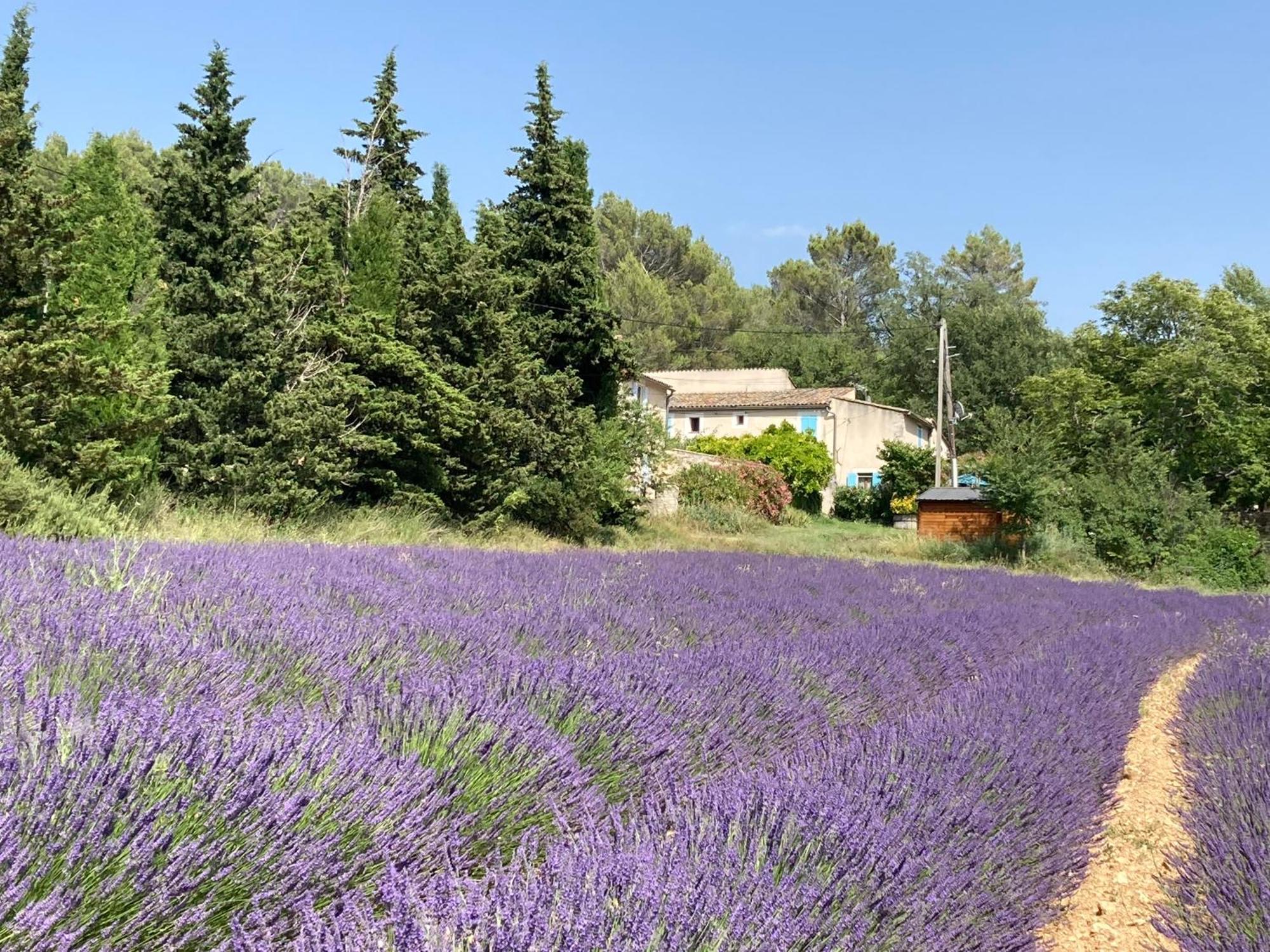 Maison Au Colorado Provencal Villa Rustrel Exterior photo